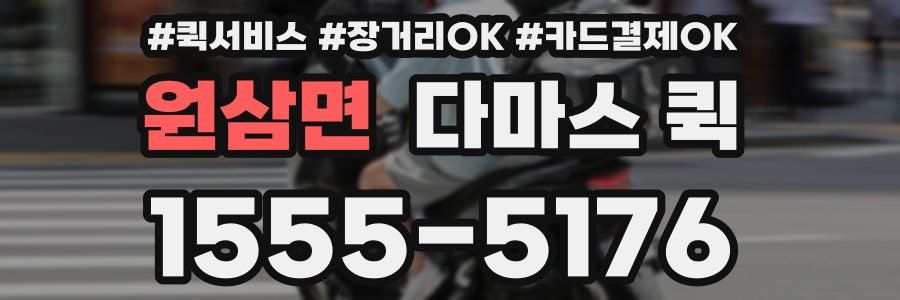 원삼면 다마스 퀵