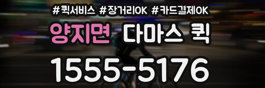양지면 다마스 퀵