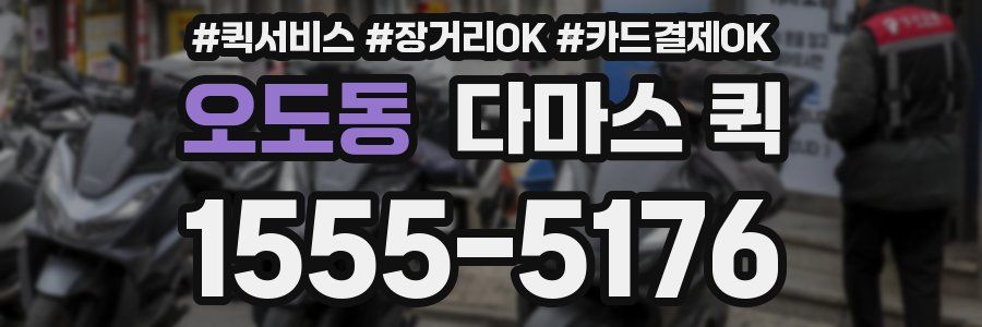 오도동 다마스 퀵