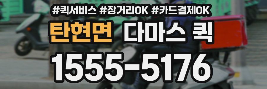 탄현면 다마스 퀵