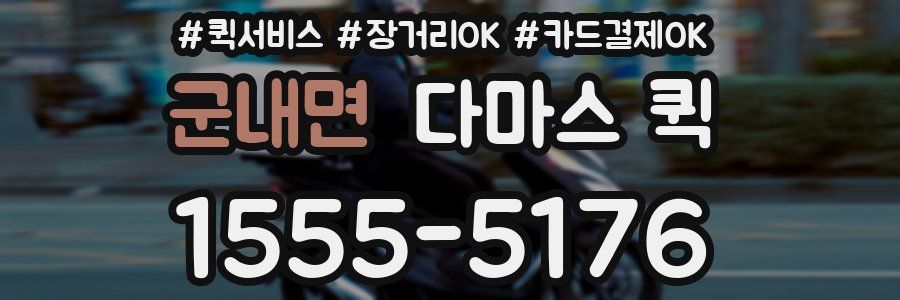 군내면 다마스 퀵