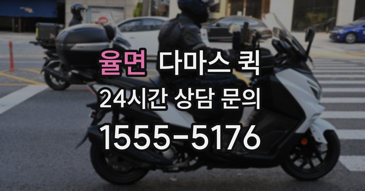 율면 다마스 퀵