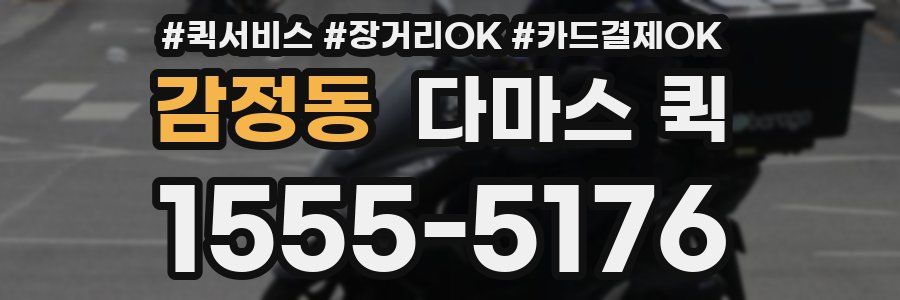 감정동 다마스 퀵