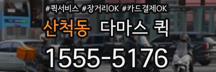 산척동 다마스 퀵