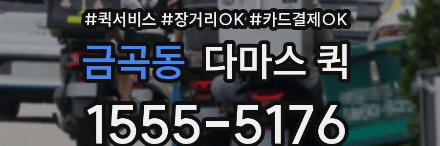 금곡동 다마스 퀵