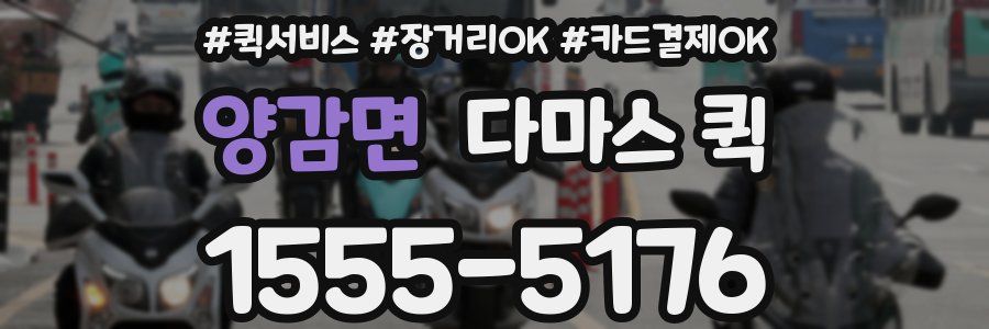 양감면 다마스 퀵