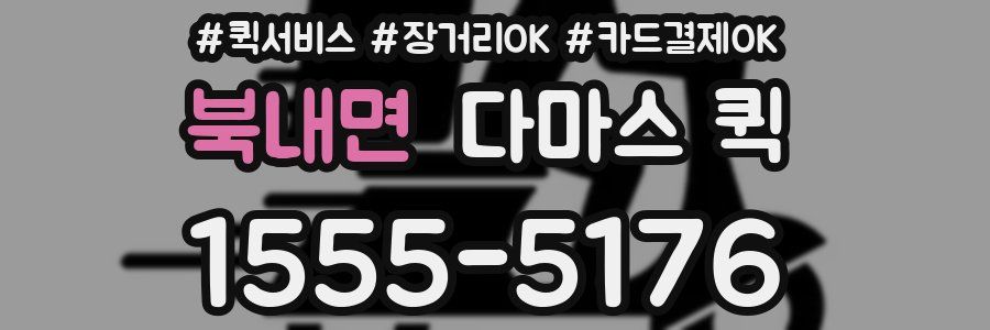북내면 다마스 퀵