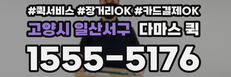 고양시 일산서구 다마스 퀵
