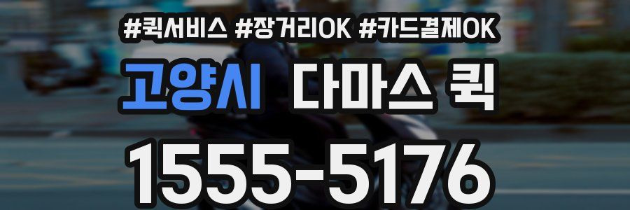 고양시 다마스 퀵
