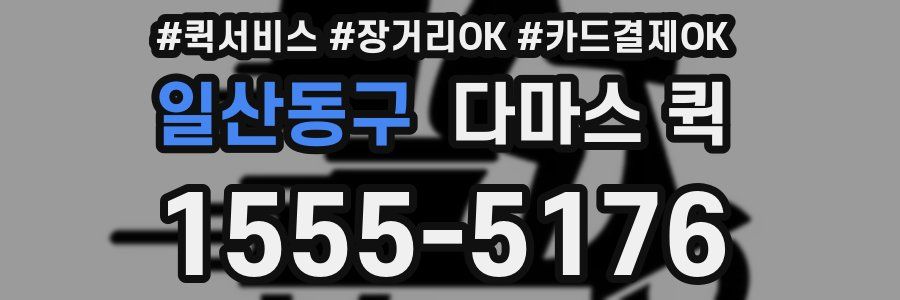일산동구 다마스 퀵