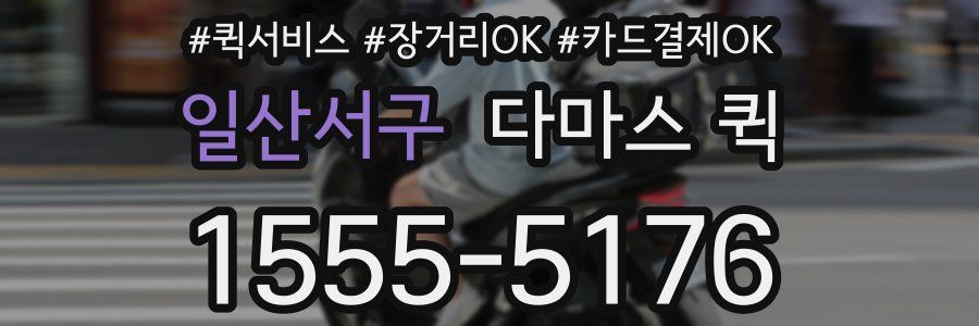 일산서구 다마스 퀵