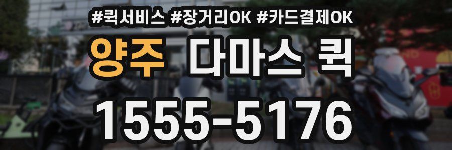 양주 다마스 퀵