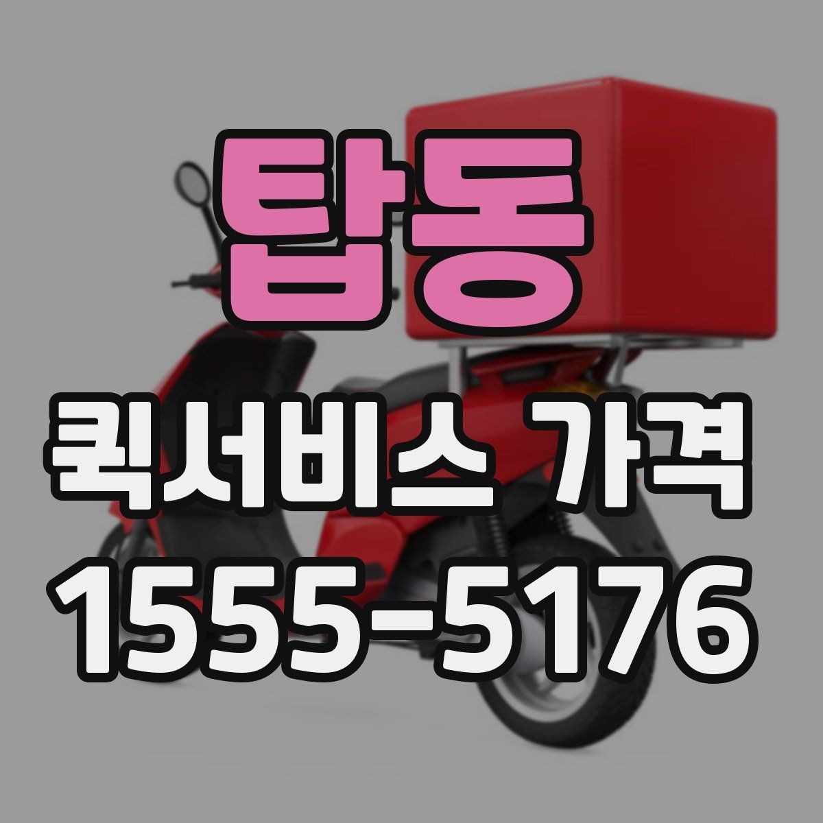 탑동 퀵서비스 가격 문의 전 알아둘 기준