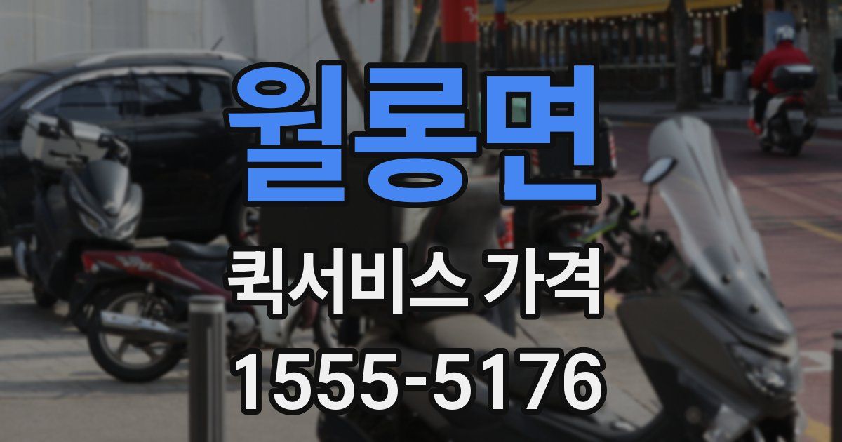 월롱면 퀵서비스 가격