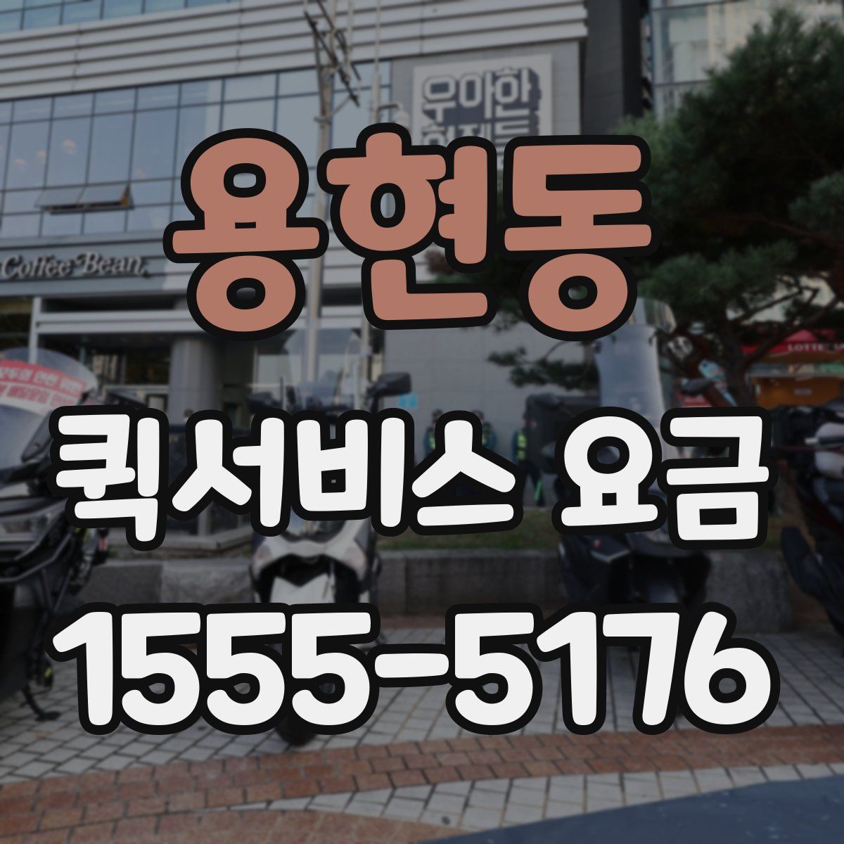 용현동 퀵서비스 요금