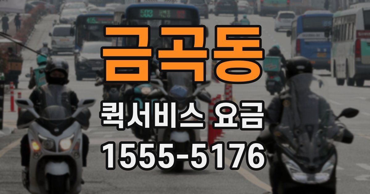 금곡동 퀵서비스 요금