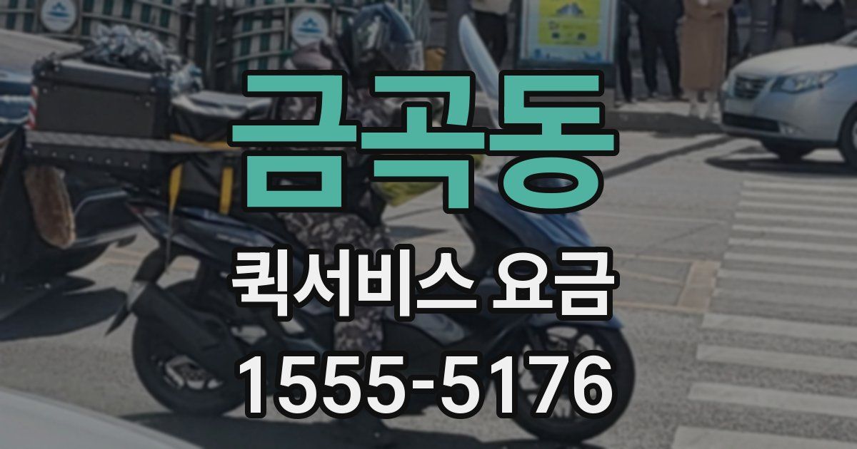 금곡동 퀵서비스 요금