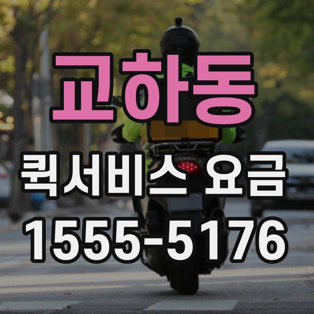 교하동 퀵서비스 요금 지역 내 이동과 타지역 이동 비교