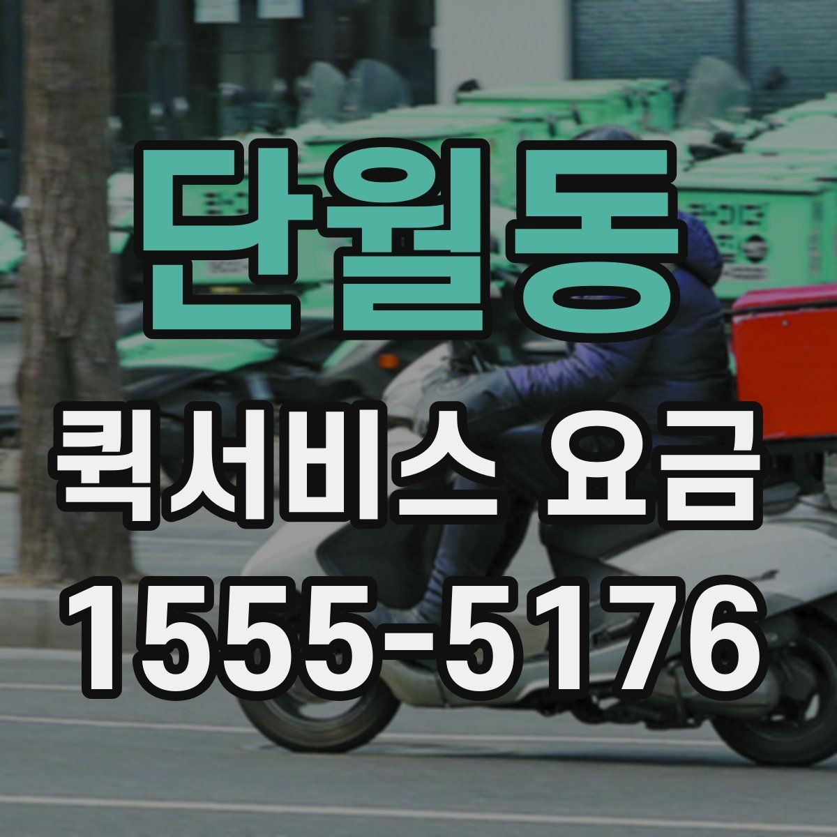 단월동 퀵서비스 요금 도심권과 외곽권 비교 포인트