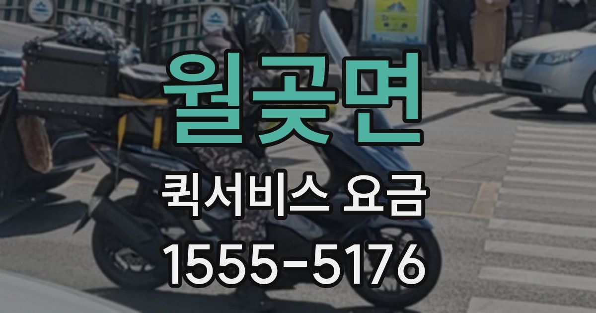월곶면 퀵서비스 요금