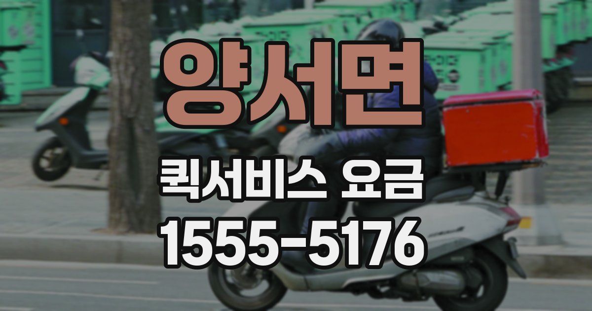 양서면 퀵서비스 요금