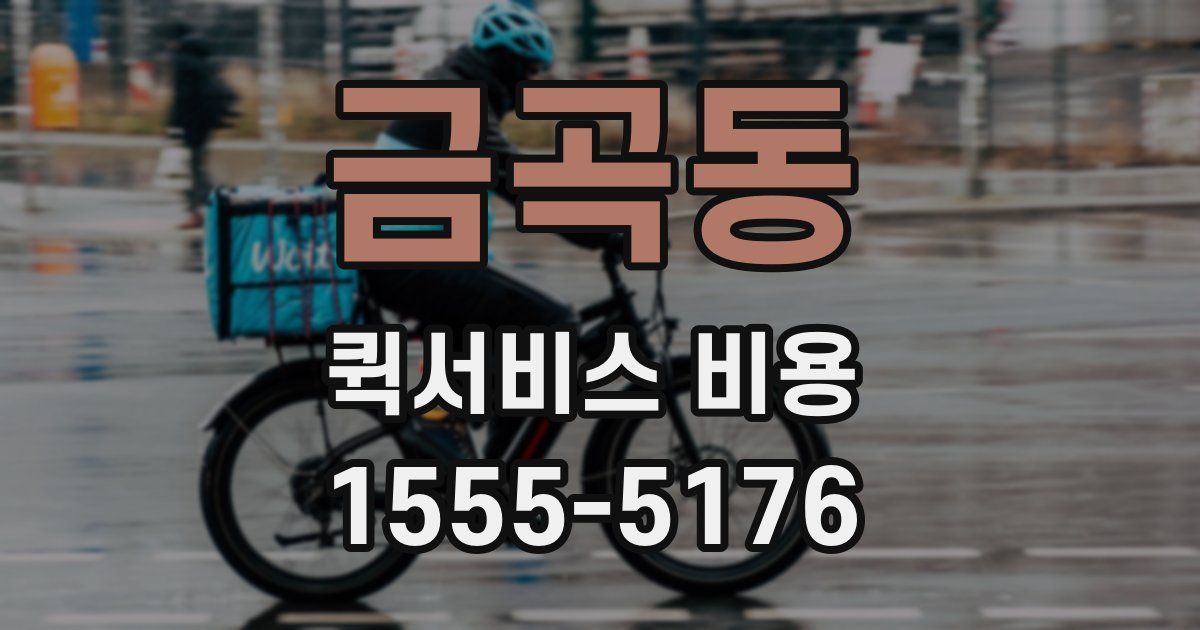 금곡동 퀵서비스 비용