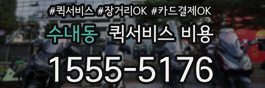 수내동 퀵서비스 비용