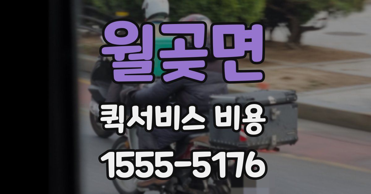 월곶면 퀵서비스 비용