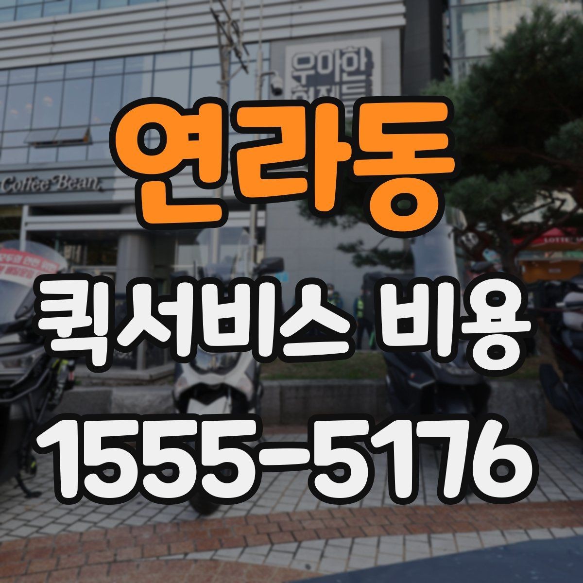 연라동 퀵서비스 비용 상담 전 질문해야 할 내용