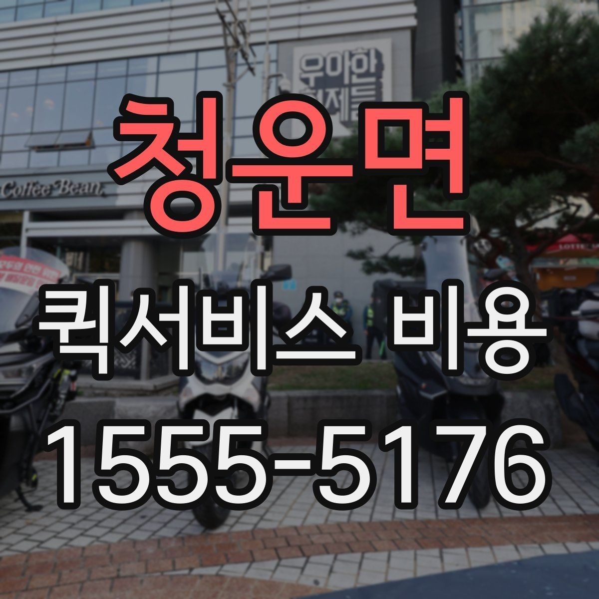 청운면 퀵서비스 비용 확인 후 업체를 고르는 기준