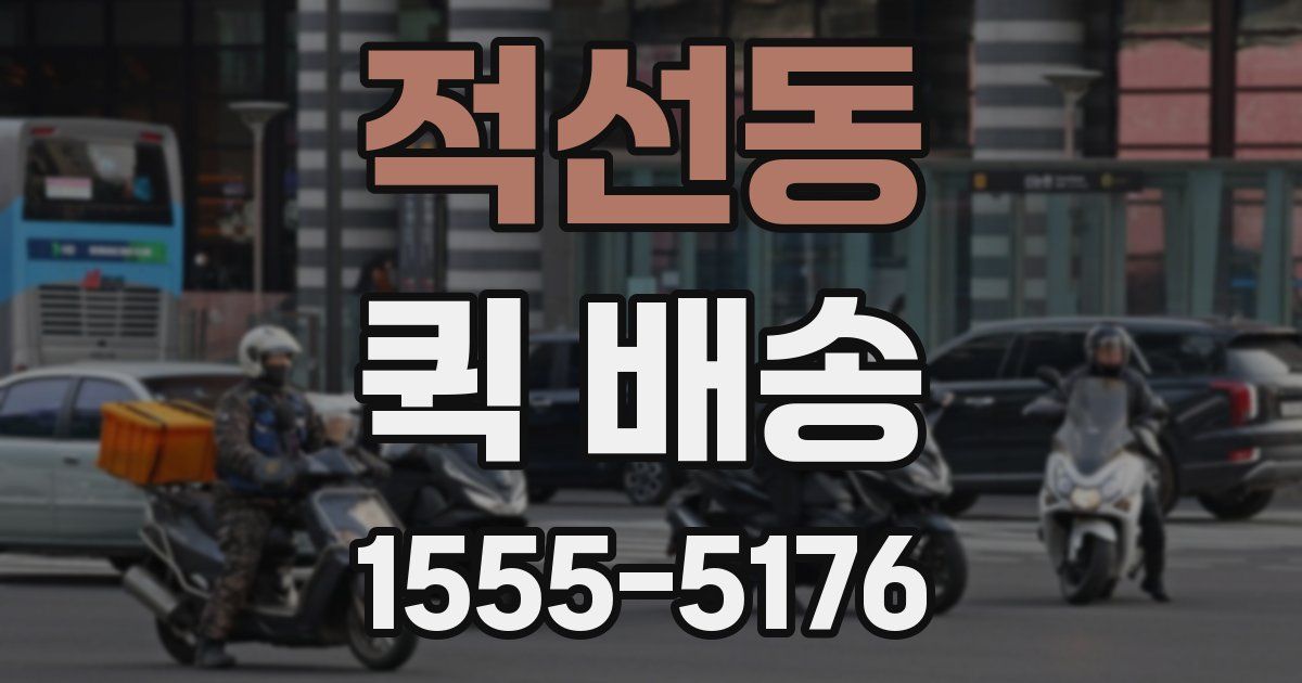 적선동 퀵 배송