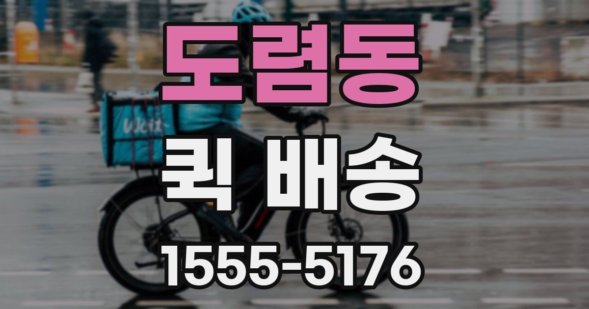 도렴동 퀵 배송