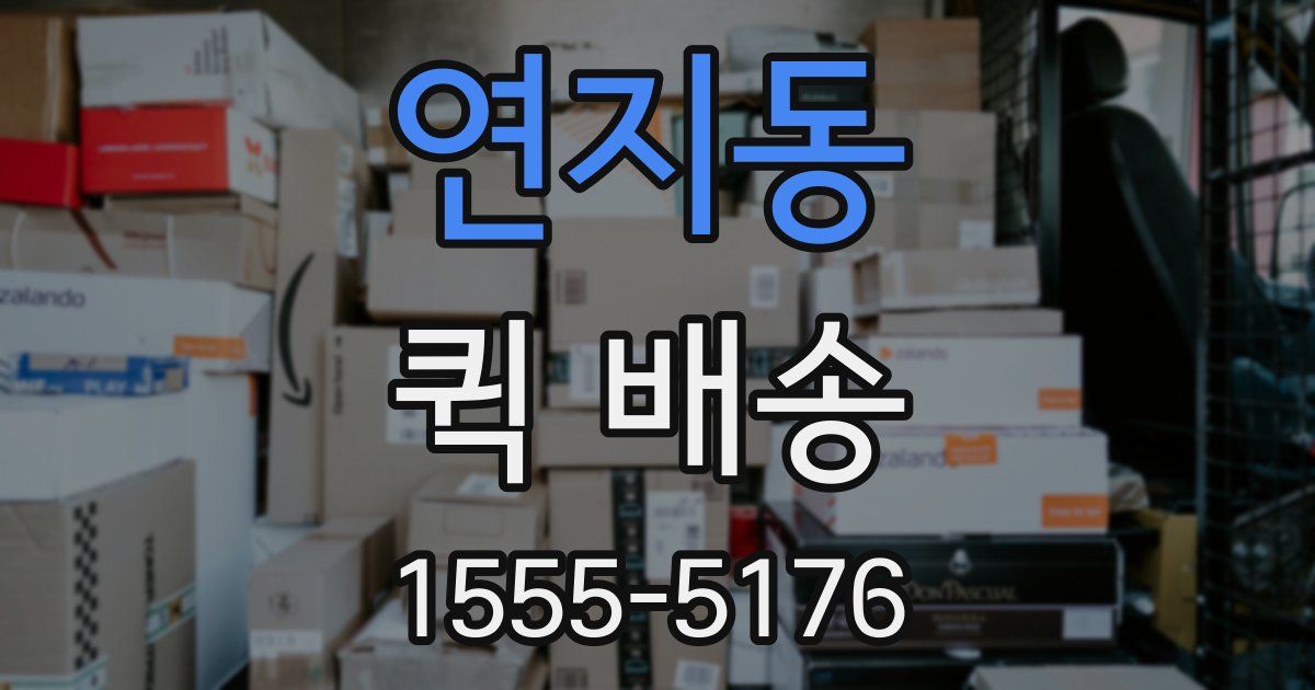 연지동 퀵 배송