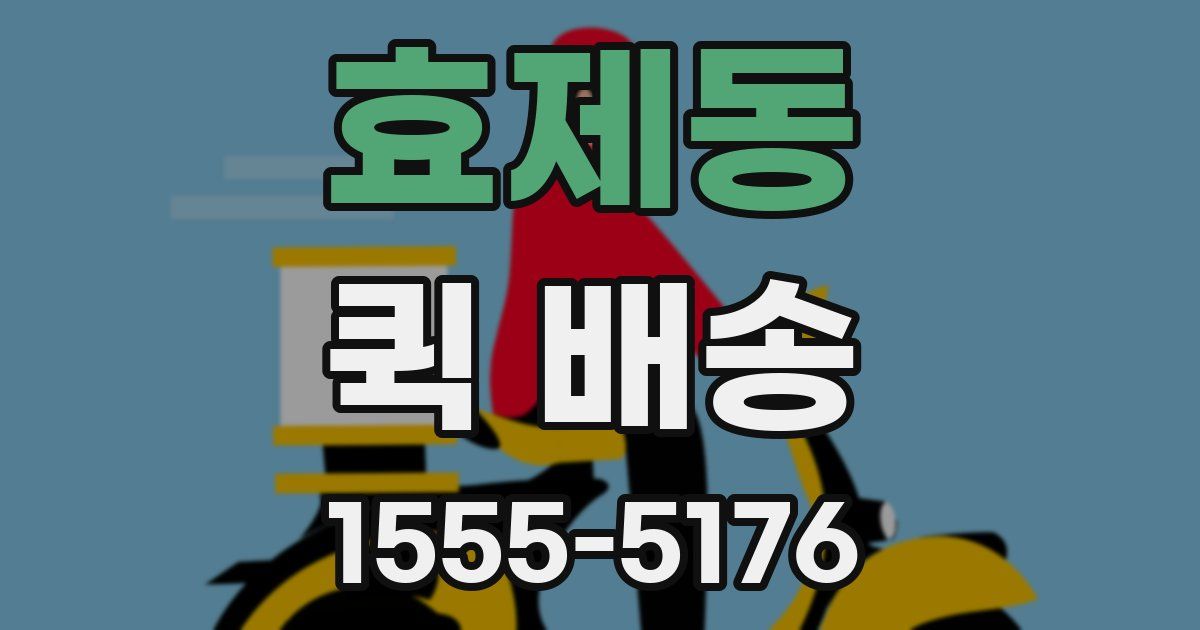 효제동 퀵 배송