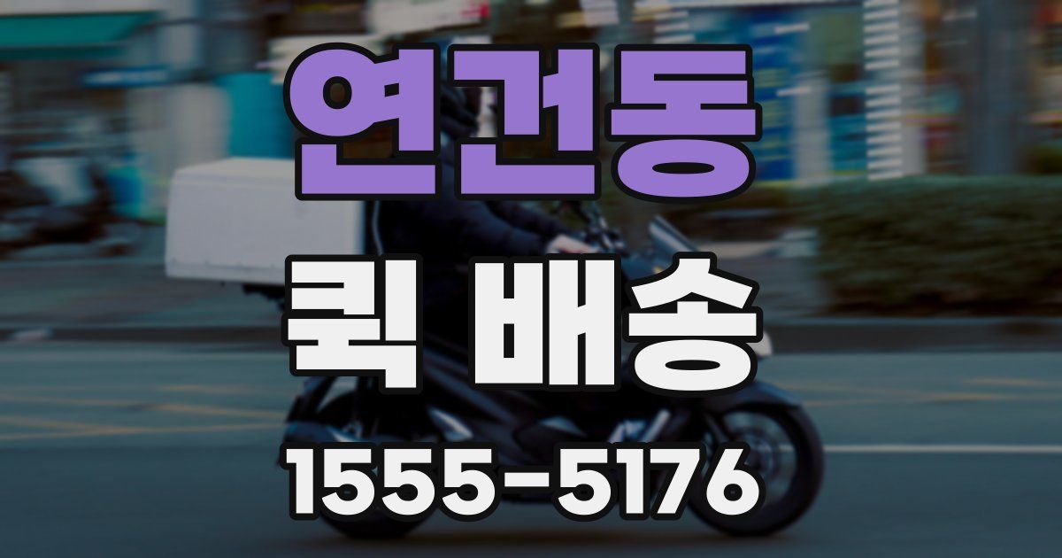 연건동 퀵 배송
