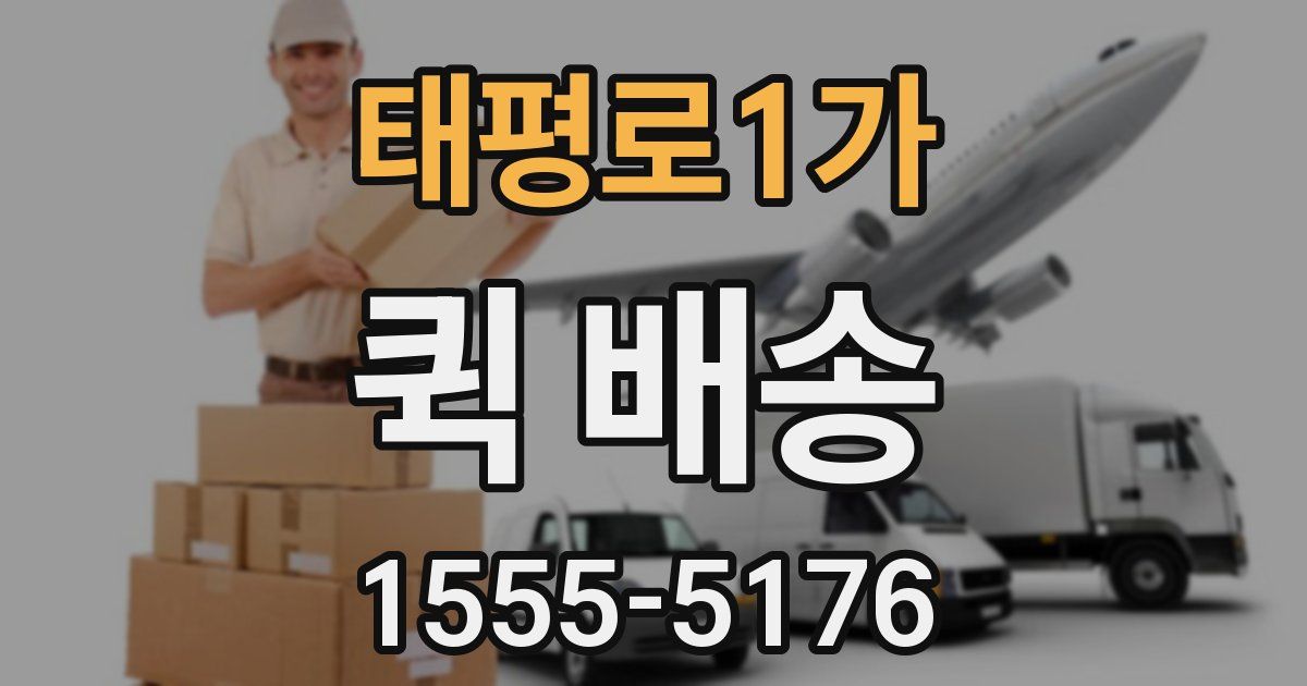 태평로1가 퀵 배송