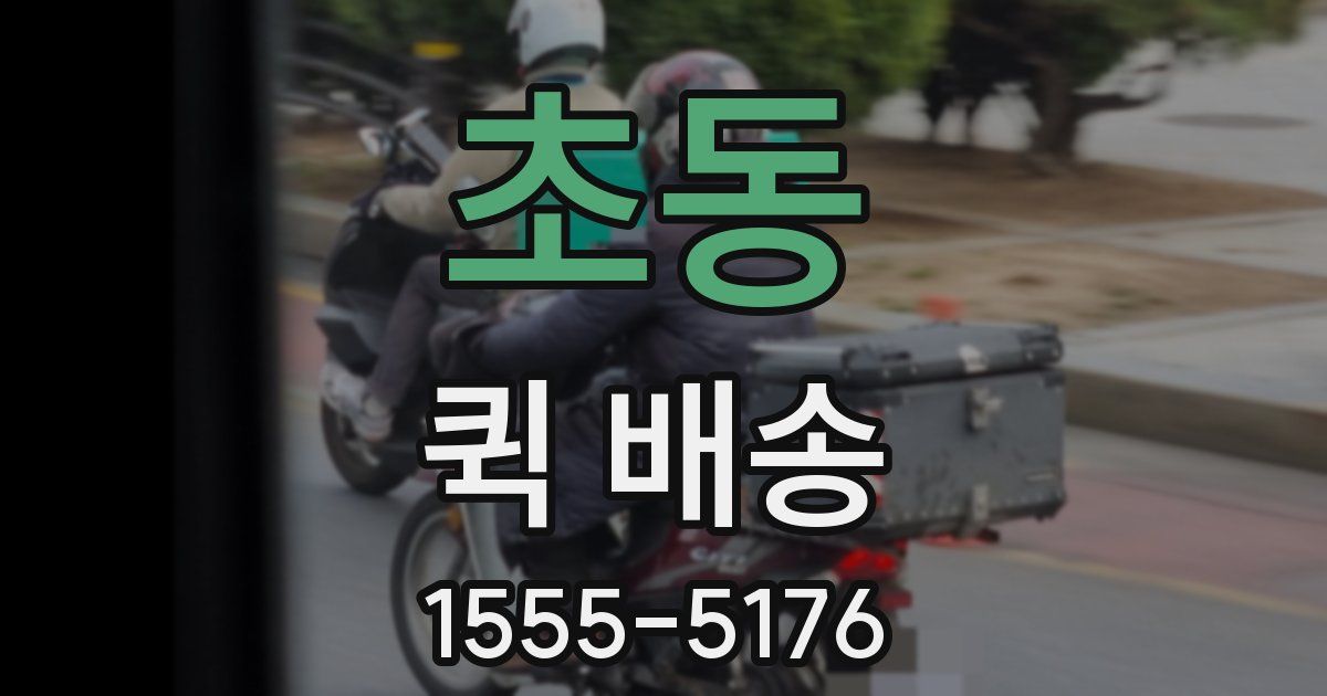초동 퀵 배송