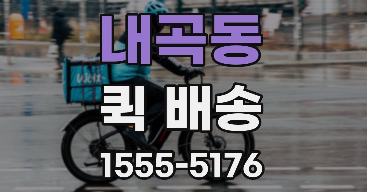 내곡동 퀵 배송