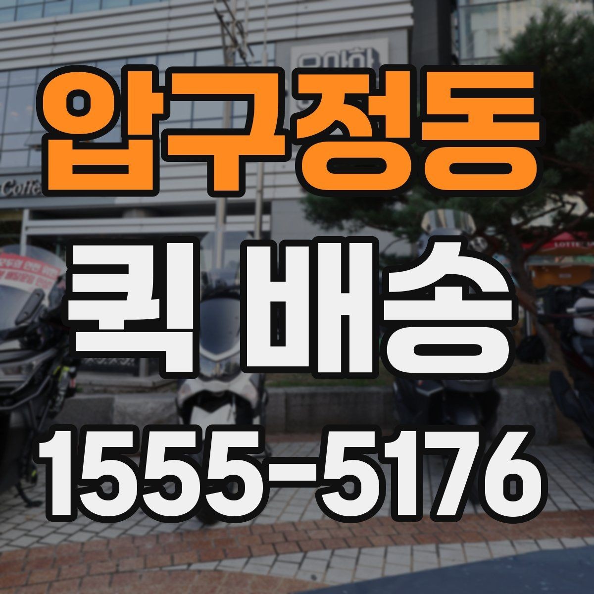 압구정동 퀵 배송 비용과 서비스 범위를 함께 보는 방법