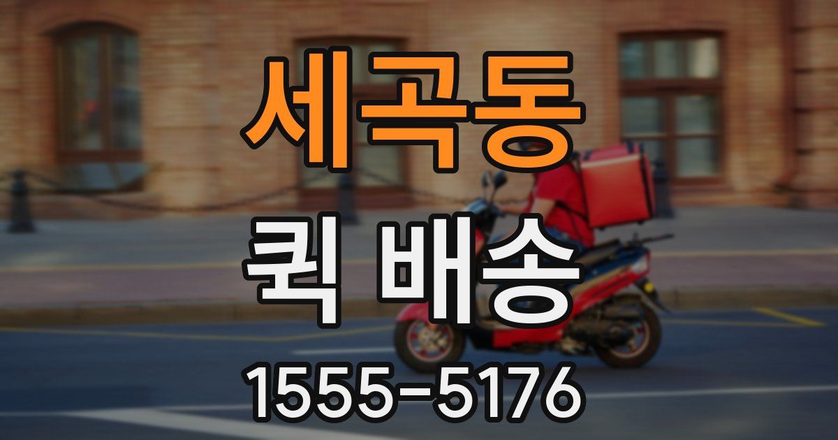 세곡동 퀵 배송