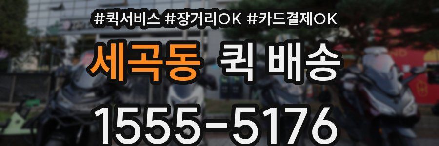 세곡동 퀵 배송