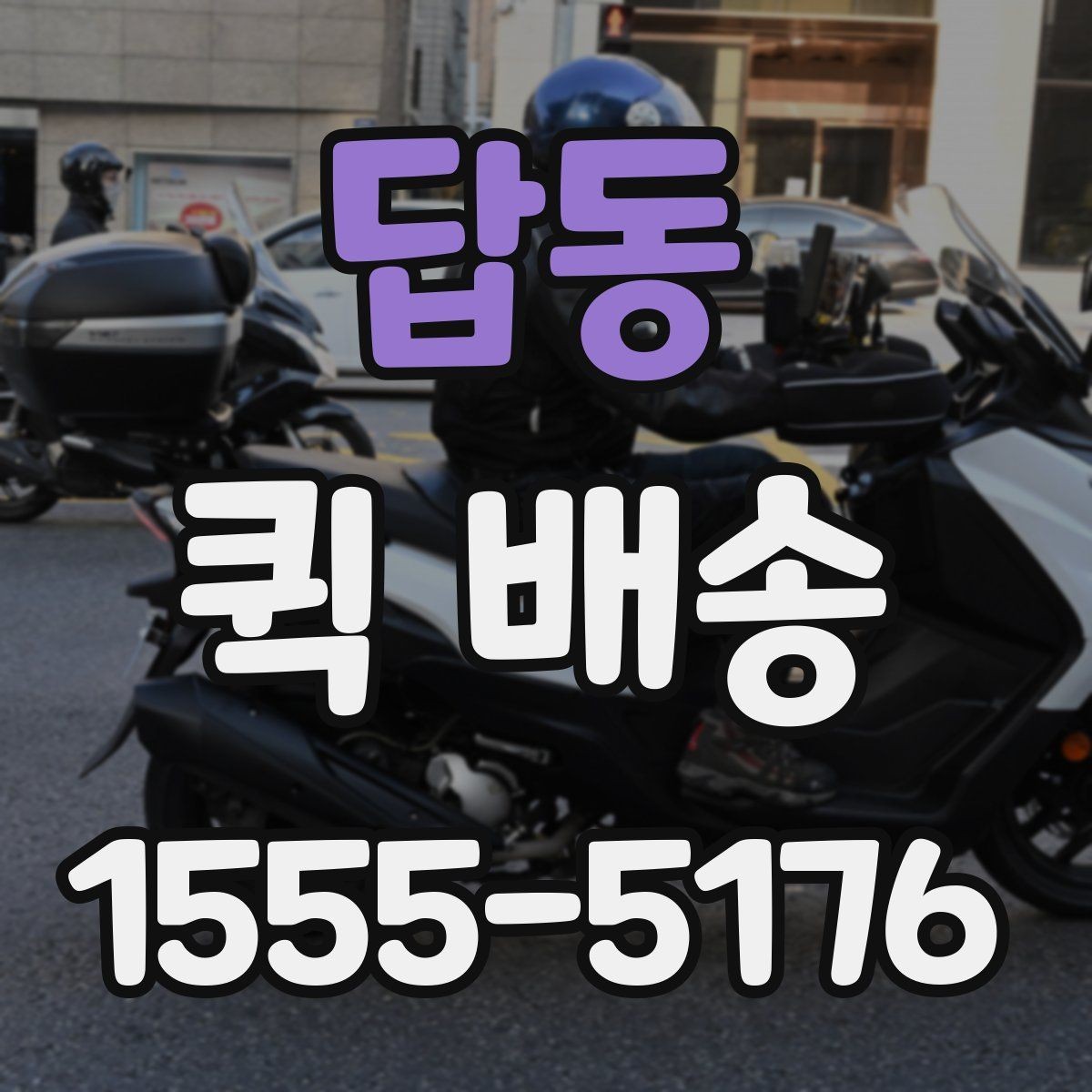 답동 퀵 배송 업체 선택할 때 보는 항목