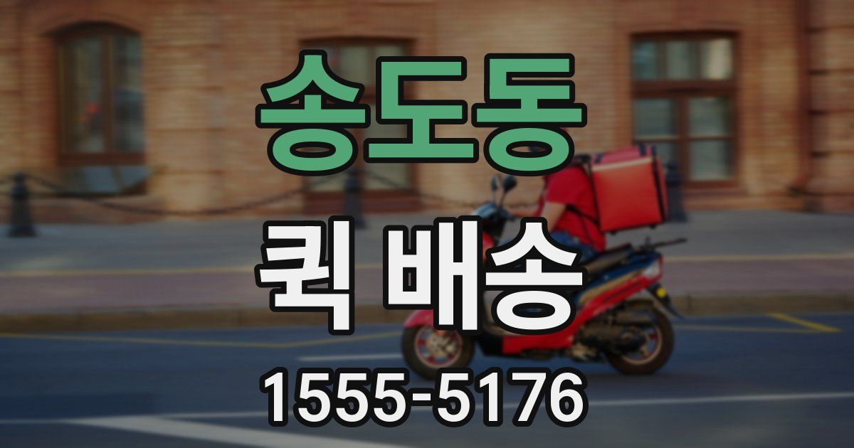 송도동 퀵 배송