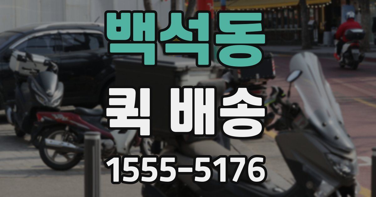 백석동 퀵 배송