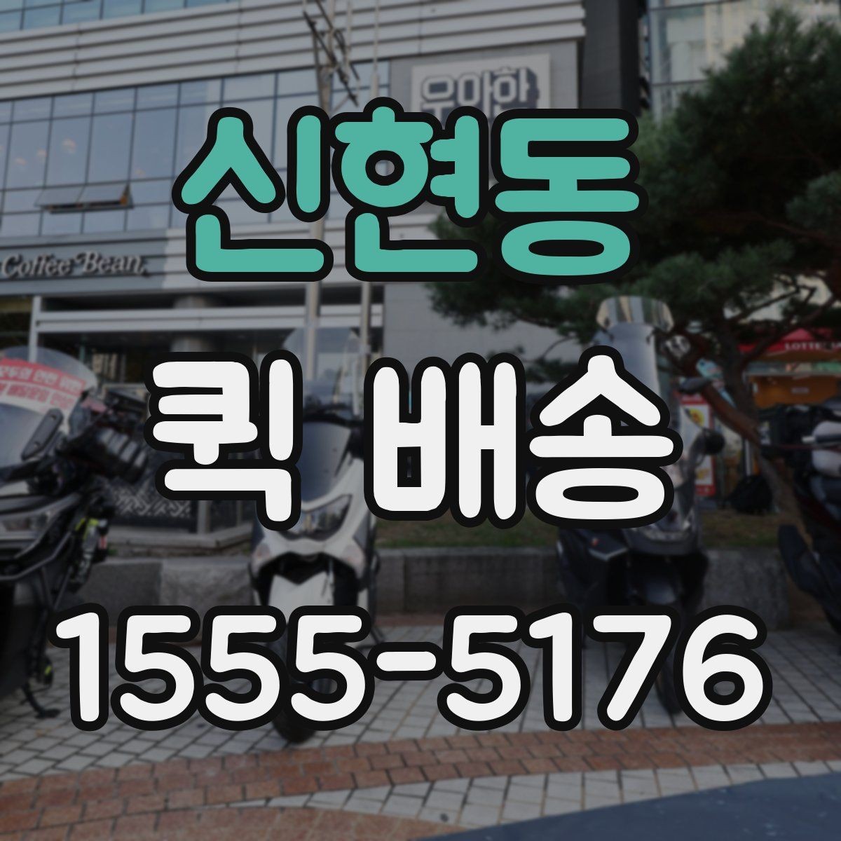 신현동 퀵 배송 업체별 서비스 범위 차이