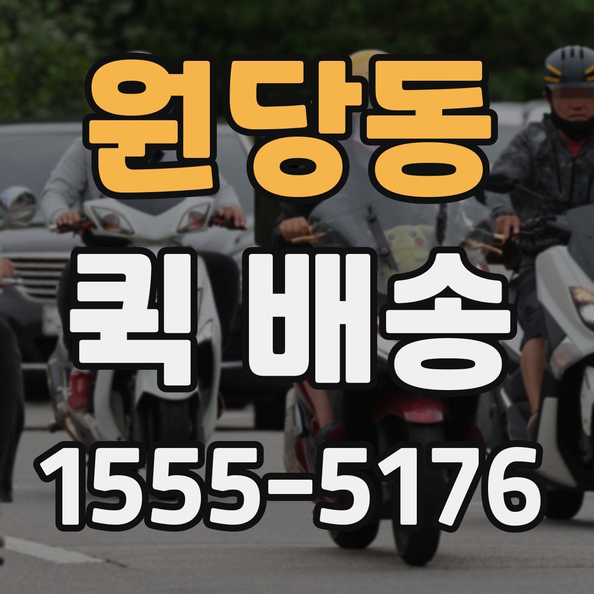 원당동 퀵 배송