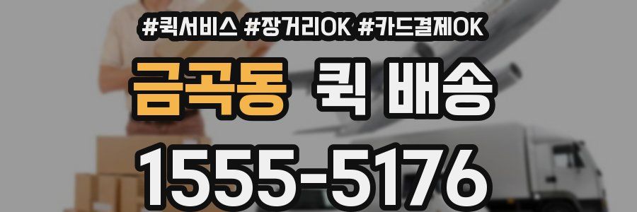 금곡동 퀵 배송