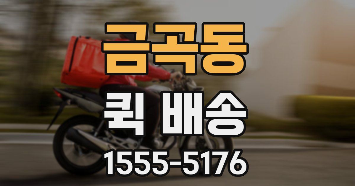 금곡동 퀵 배송