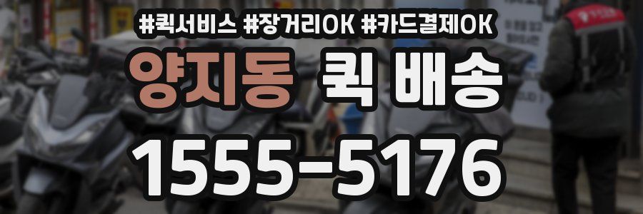 양지동 퀵 배송