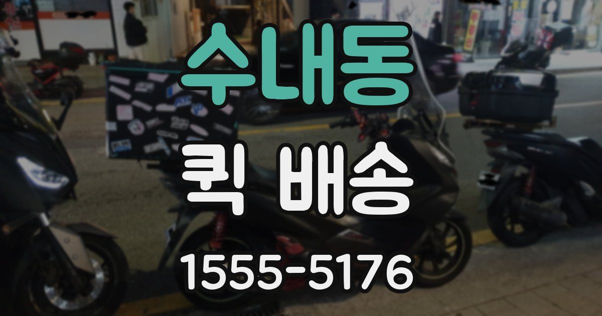 수내동 퀵 배송